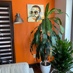 Mid-Century Mac- CANVAS PRINT
